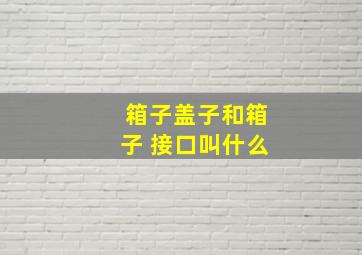 箱子盖子和箱子 接口叫什么